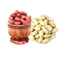 roasted peanut