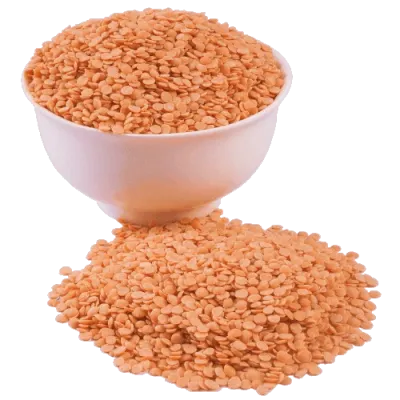 dal masri