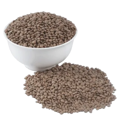 dal black masoor