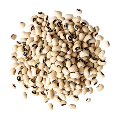 dal rongi