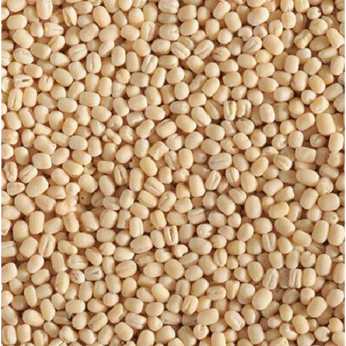 SHUBH - DAL URAD DHULI, (WHOLE), 1KG